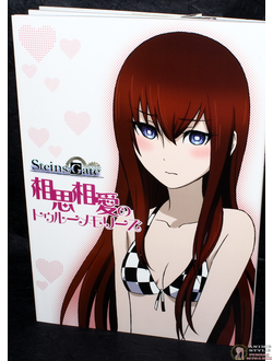 Оригинальный Арт Бук Steins;Gate Soushisouai no True Memories (Врата; Штейна)