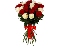 25 роз красных и белых (50 см.)