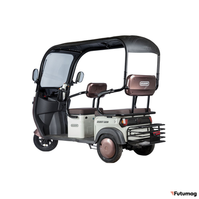 Электротрицикл Rutrike Gelbert Sarin 48V/60V 1000Вт коричнево-белый