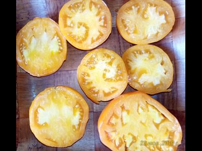 Томат Кубинский сладкий