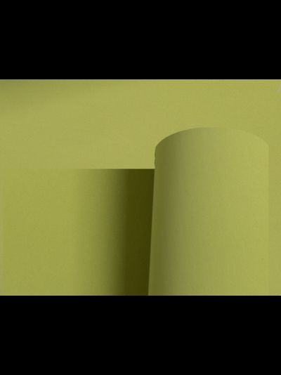 Фоамиран Иран 60х70 см 1мм цвет № 173 оливковый