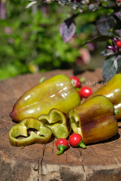 Перец сладкий Синильга, 10 шт