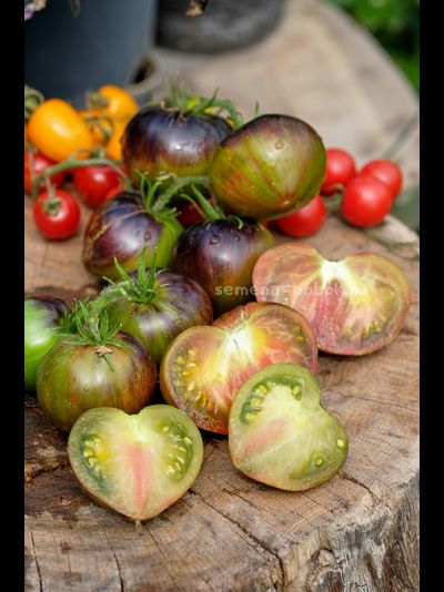 Томат Изумрудный Дождь, 10 шт