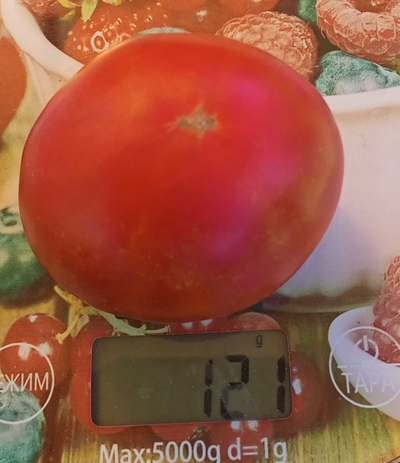 Томат Спиридоновский