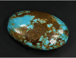 Бирюза, полировка плоская, США, Невада (32*20*10 мм, 8,3 г) №37841