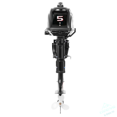 Лодочный мотор Hidea HD5FHS (с баком)