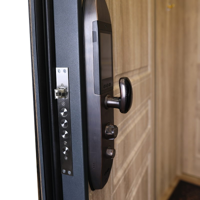 Стальная дверь   Mix. Заказная модель.