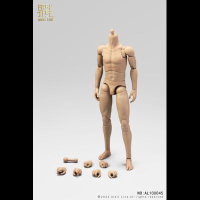 Тело с шеей, кистями и стопами - Male body (AL100045) - Alert Line