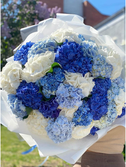 Микс из 31 гортензии