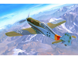 Сборная модель: (Hobby Boss 81716) Германский истребитель Focke Wulf Fw 190D-9