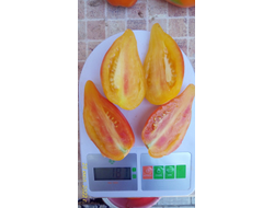 Томат Похвала Марины, (Marina's Praise, Гордость Марины)