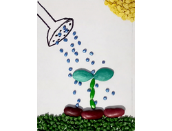 Семена весовые и поштучно