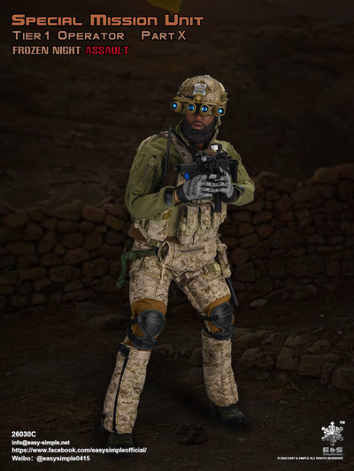 Штурмовик группы Сил специальных операций США - КОЛЛЕКЦИОННАЯ ФИГУРКА 1/6 scale Special Mission Unit Part X Frozen Night Assault (26030C) - Easy&Simple
