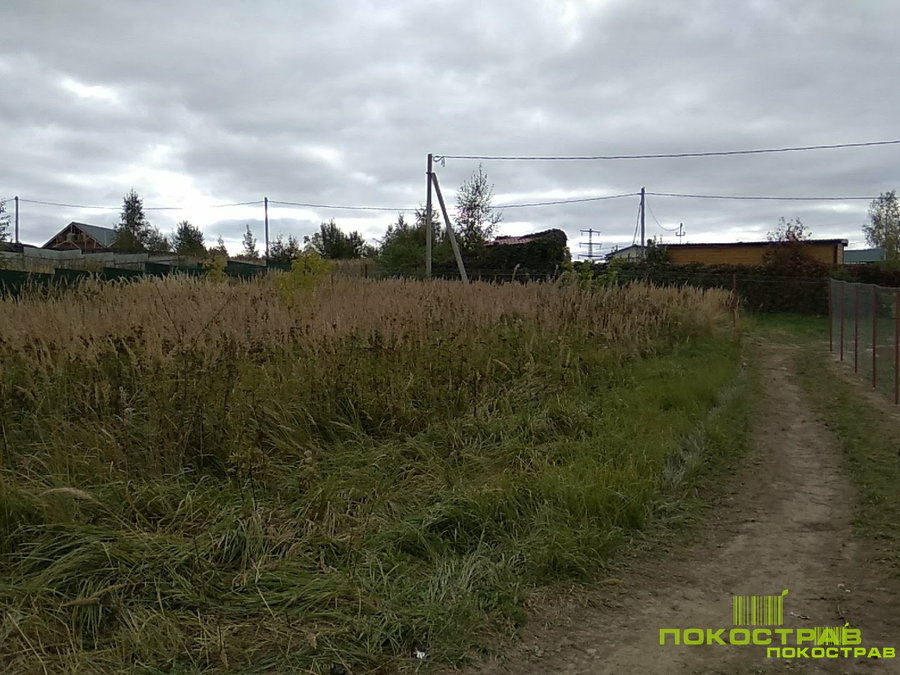 Деревня Васькино Чеховский Район Купить