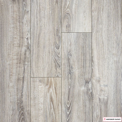 Ламинат Homflor Strong Sardinia Oak 619 купить в интернет-магазине mirovoy-parquet.ru