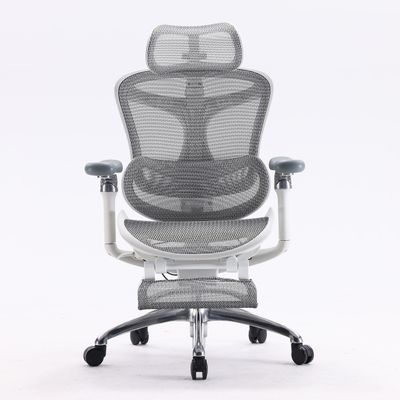 Ортопедическое кресло SIHOO Doro C300 Pro | серо-белое