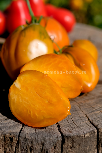 Томат Огненный гребень цвета Охра (Cresta di Fuoco), 10 шт