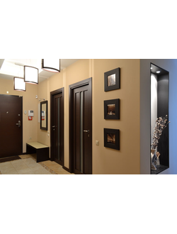 ТЕМНЫЕ МЕЖКОМНАТНЫЕ ДВЕРИ