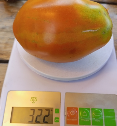 Томат Аббаттиста паста (Abbattista paste)