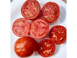 Томат Штамбовый крупноплодный