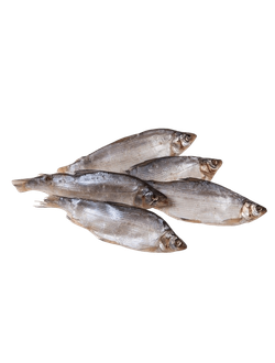 Пелядь вяленая