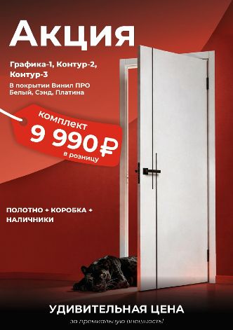 Двери по акции винил про.