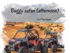 BUGGY SAFARI IN THE AFTERNOON (2 hours program) (El Quseir, Port Ghalib, Marsa Alam)