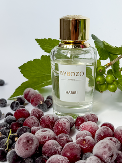 ByBozo Habibi
