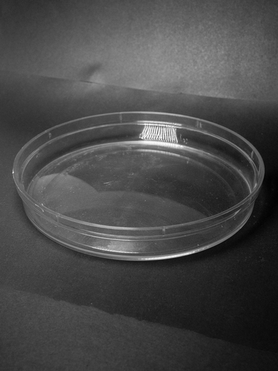 (ПОС0200) Монетница круглая из прозрачного оргстекла