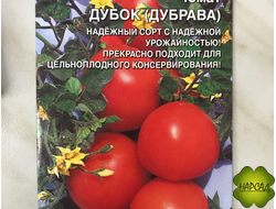 Томат "Дубок (Дубрава)" (40 см, для улицы и теплицы)
