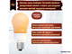 Philips Terracotta A65 12w 827 E27