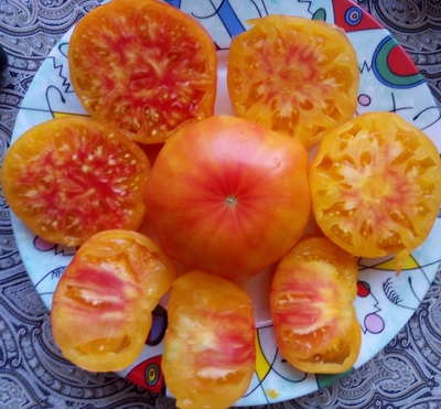 Томат Желтый камень (Yellow Stone)