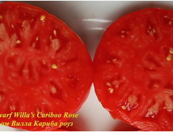 Томат Роза Виллы Карибу (Dwarf Willa’s Cariboo Rose)