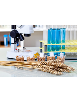 Оборудование для сельского хозяйства