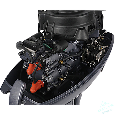 Лодочный мотор ALLFA T9.9(15) Лимит серия