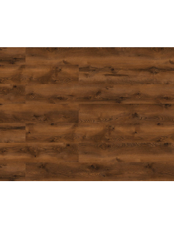 Дуб Форрес 47727