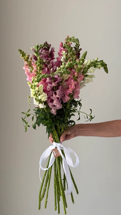 Моно букет цветов № 546