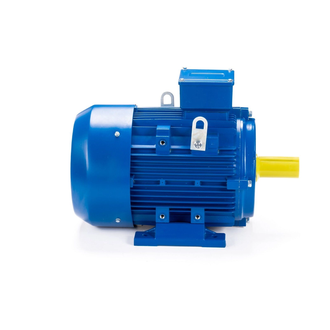 Электродвигатель АИС 180L4 (22 кВт) IM B3