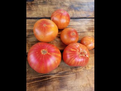 Томат Олимпийский огонь