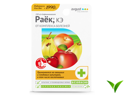 Раек КЭ
