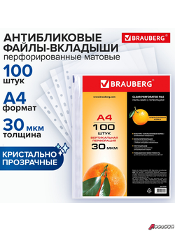 Папки-файлы перфорированные, А4, BRAUBERG «STANDARD», комплект 100 шт., матовые, 30 мкм.  221991
