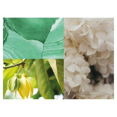 Dialogue with Venus PIERRE GUILLAUME