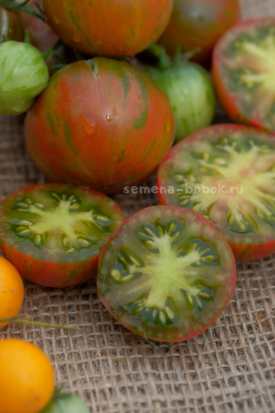 Томат Delta Diver red (Гном Дельта Дивер Ред), 10 шт