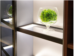 EDGE полка  с подсветкой ARISTO