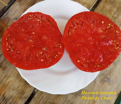 Томат Полный мякоти (Pleine de Chair, США)