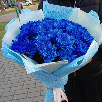Букет 11 веток синей хризантемы с упаковкой