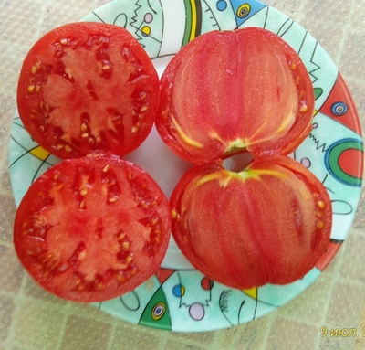 Томат Бычье сердце туймазинское