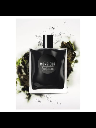 MONSIEUR PIERRE GUILLAUME