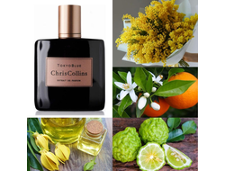 Chris Collins Tokyo Blue