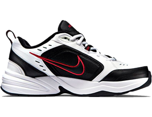 NIKE AIR MONARCH IV